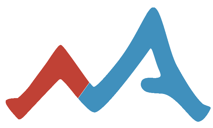 Net Assets Management Logo